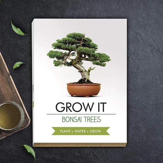 Grow it - Bonsai-Bäume