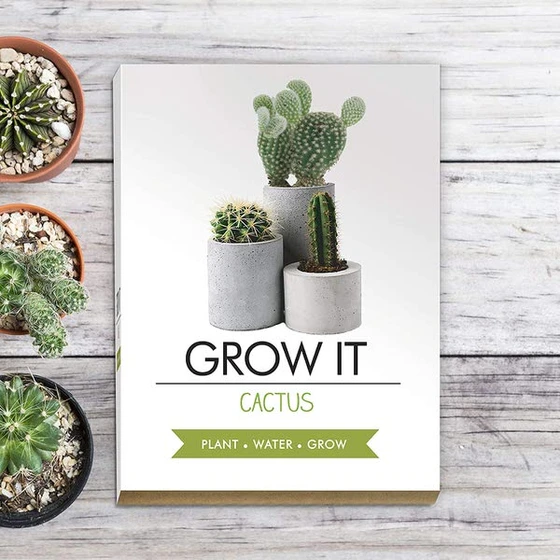 Grow-It-Kaktus