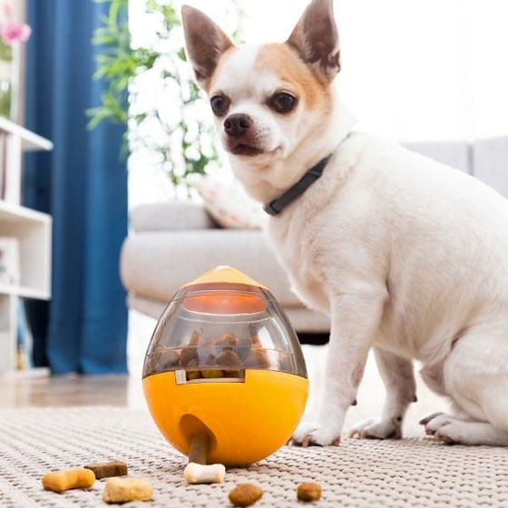 Spielzeug mit Leckerchenspender für Hunde