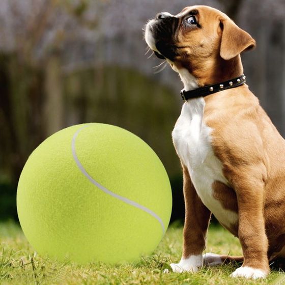 Riesiger Hunde-Tennisball